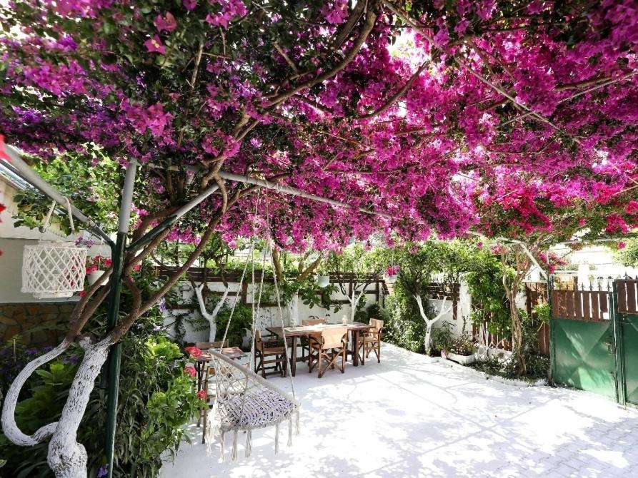 Apartments Athina 오리쿰 외부 사진